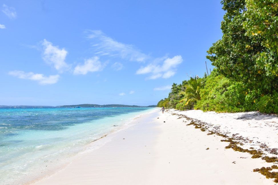 Tonga Adults-Only Itinerary: 14 Days / 2 Weeks